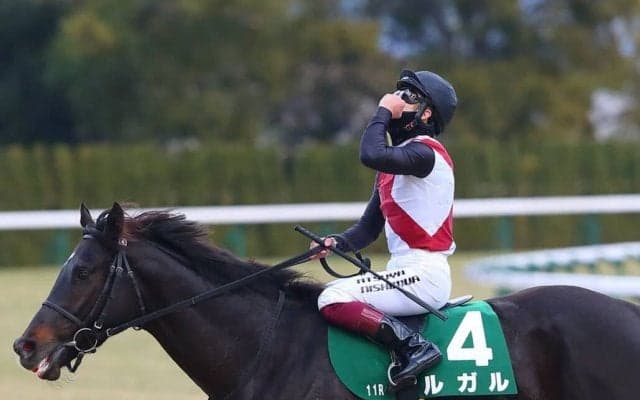 【シルクロードS】西村淳「ゲートだけが難しい馬」ルガルが快勝