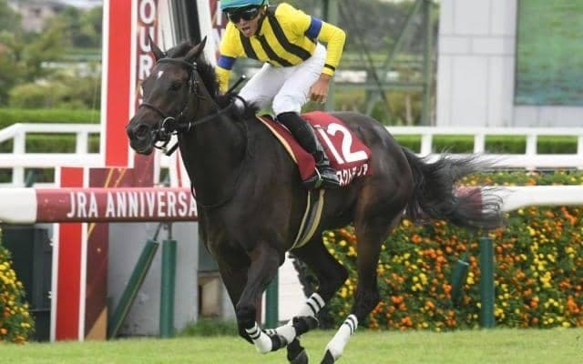 東京新聞杯ときさらぎ賞の2重賞/今週の競馬界の見どころ
