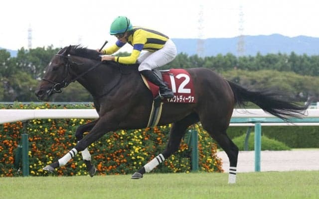 【東京新聞杯登録馬】マスクトディーヴァなど22頭