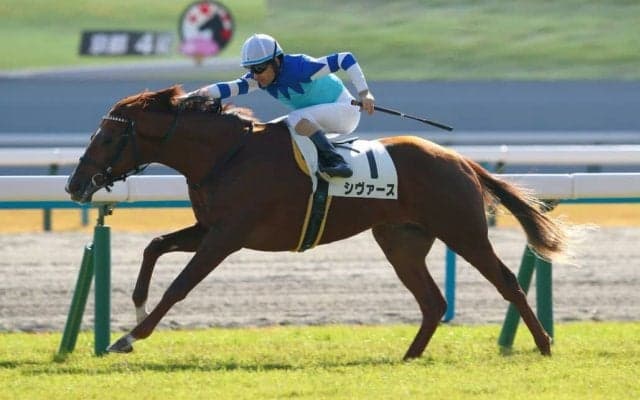 【きさらぎ賞登録馬】良血シヴァースなど12頭