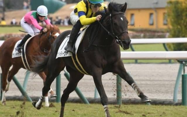 【東京新聞杯見どころ】秋華賞2着のマスクトディーヴァがマイルで始動