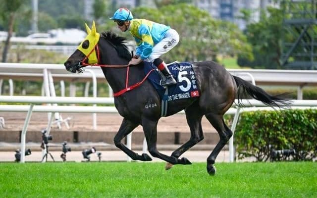 香G1馬が高松宮記念への参戦視野 レース後のインタビューで調教師が明かす