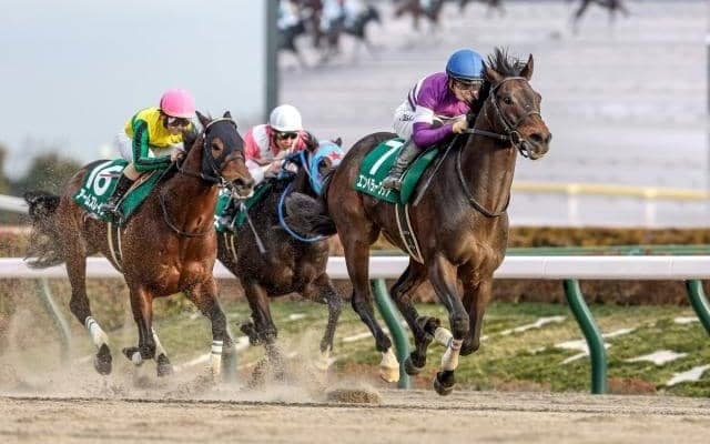 【根岸S】売上は74億8675万400円で昨年より約2億円減少