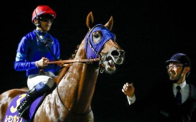 最優秀ダートホースのレモンポップ 陣営「6歳ですがレモンのようにフレッシュな走りを」/JRA賞授賞式