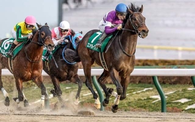 ロードカナロア産駒がダートで躍進中 砂で狙いたくなる“パワー型”の血統構成とは