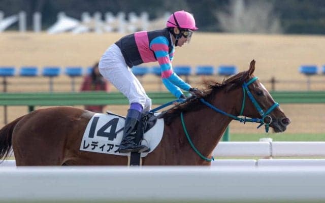 【東京7R】武豊騎乗、レディアスが快勝