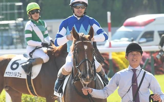 母はGI・2勝馬ヴィブロス きさらぎ賞に佐々木主浩氏所有の良血馬が挑む