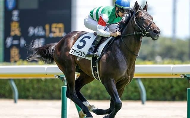 【きさらぎ賞予想オッズ】ファーヴェントが予想1番人気