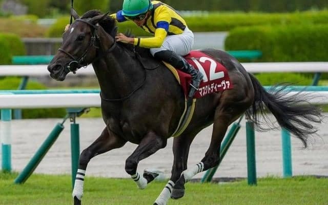 ローズSレコードV＆秋華賞2着の4歳牝馬 東京新聞杯で重賞2勝目狙う