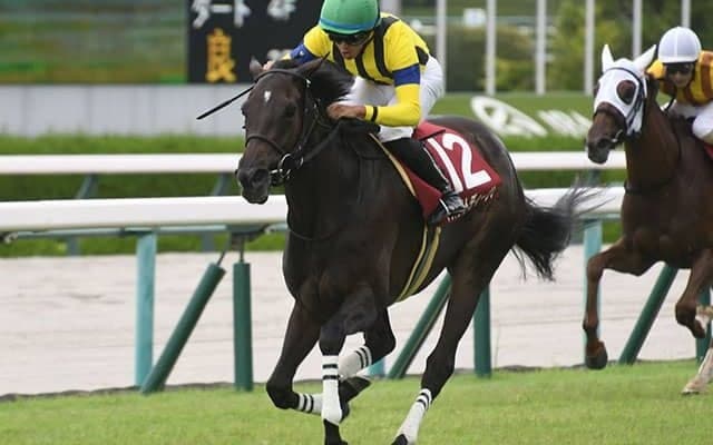 【東京新聞杯予想オッズ】マスクトディーヴァが予想1番人気