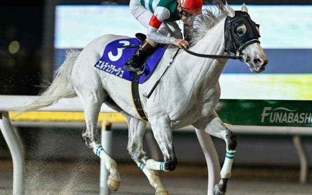 【川崎・報知オールスターC枠順】10歳古豪エルデュクラージュは5枠5番