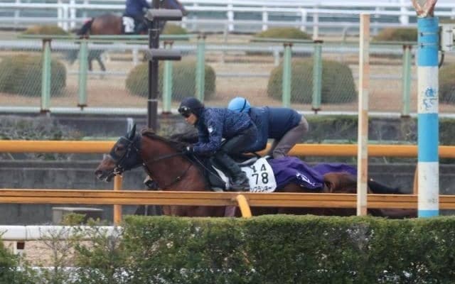 ドンフランキー、フェブラリーS2週前追い切り速報/栗東トレセンニュース