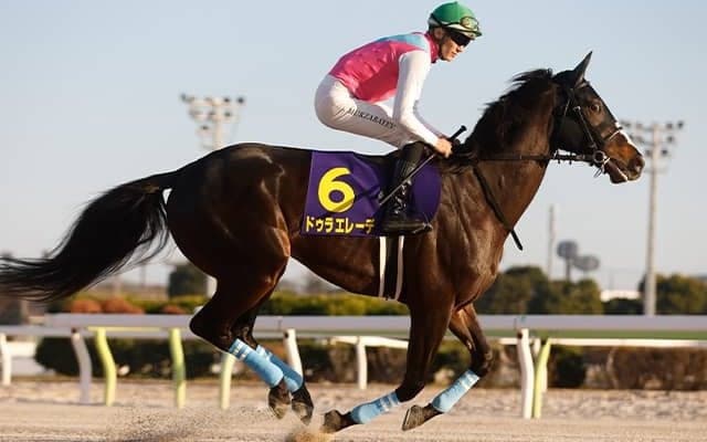 【フェブラリーS想定】ドゥラエレーデ、イグナイターなど19頭