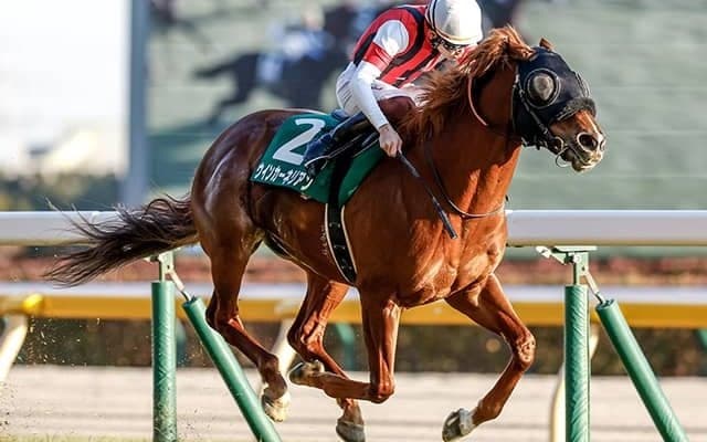 7歳馬ウインカーネリアン 東京新聞杯で史上初の連覇＆24年ぶりの快挙狙う
