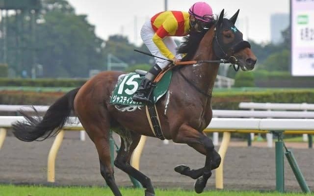 【東京新聞杯予想】穴党AIも「無理に逆らう必要なし」 意外な推奨馬を徹底解剖