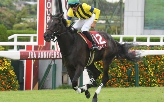 【東京新聞杯出走馬・騎手確定】マスクトディーヴァ＆岩田望来騎手、ジャスティンカフェ＆坂井瑠星騎手など16頭