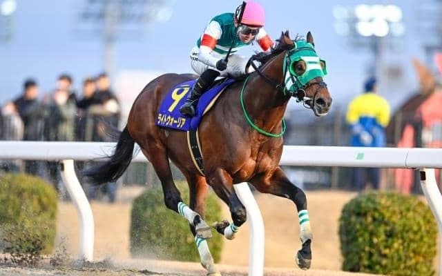 【川崎・報知オールスターC結果】ライトウォーリアが逃げ切って重賞3勝目！