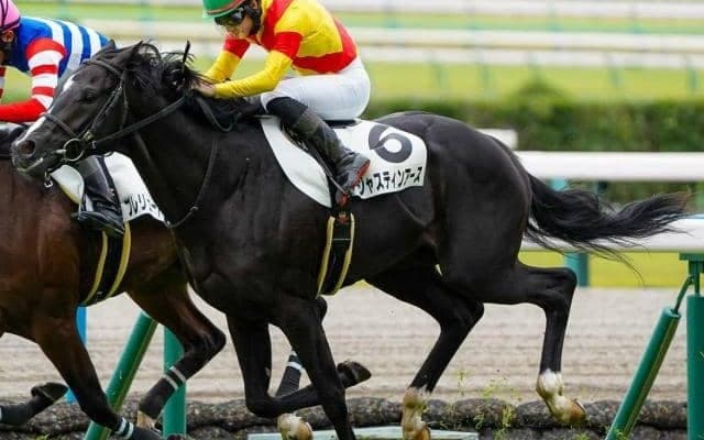 今週も杉山晴紀厩舎が主役か きさらぎ賞で2週連続重賞V狙う