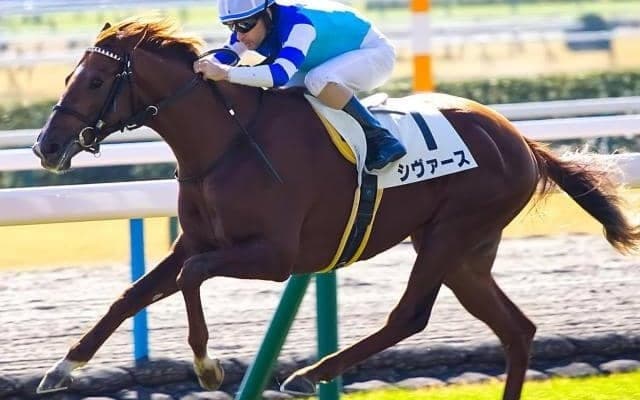 4年ぶり京都芝1800mで開催のきさらぎ賞 改修後のデータから舞台適性の高い馬は？