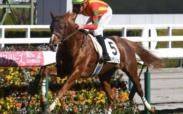 【きさらぎ賞枠順確定】ファーヴェントは6枠8番、ビザンチンドリームは8枠12番