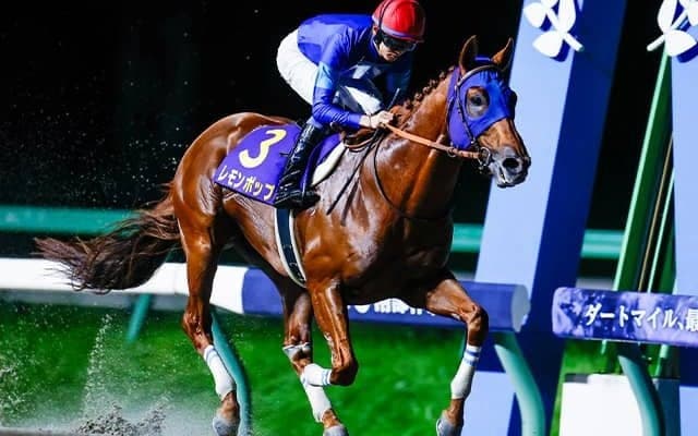 サウジカップの馬券発売が決定 レモンポップら日本から5頭が出走予定