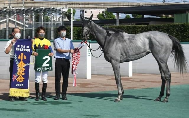 22年の小倉記念覇者マリアエレーナが抹消 日高大洋牧場で繁殖入り