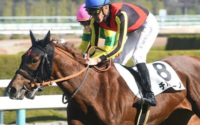 兄に皐月賞馬ジオグリフ エルフィンSで良血牝馬がデビュー2連勝狙う