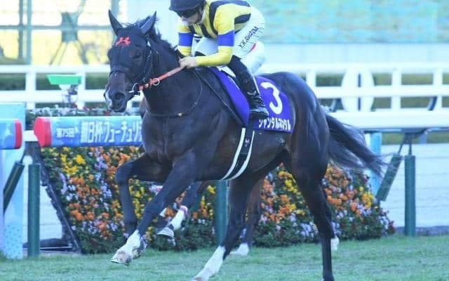 【共同通信杯想定馬・騎手】ジャンタルマンタル、ベラジオボンドなど11頭