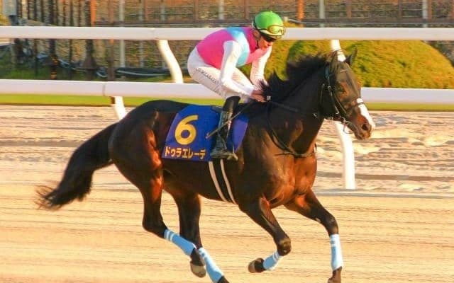 【フェブラリーS想定馬・騎手】ドゥラエレーデ、ウィルソンテソーロなど26頭