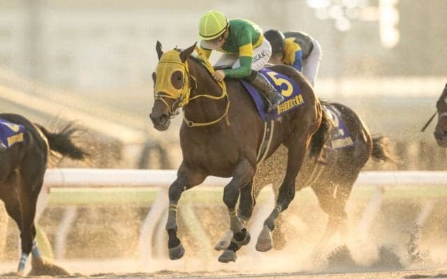 サウジカップの馬券発売が決定…ウシュバテソーロなどが出走