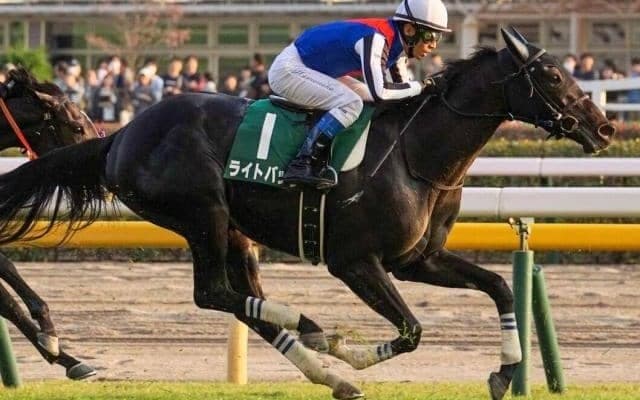 キズナ産駒が京都芝で絶好調！ エルフィンSはライトバックの末脚に期待