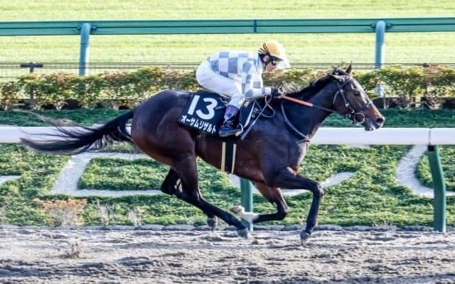 【今日の注目ポイント】アルデバランSでオーサムリザルトの無傷5連勝なるか