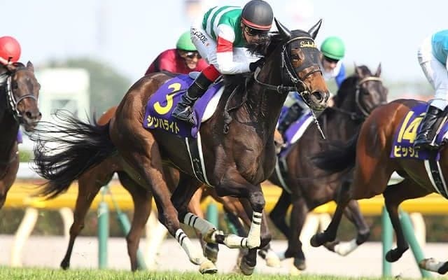 オークス馬シンハライトの仔がデビュー C.ルメール騎手とコンビで勝利なるか