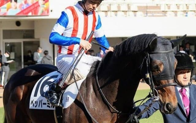 単勝247.1倍の低評価覆す ペッパーミルが東京2Rを快勝