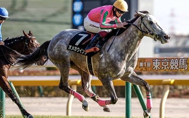 【春菜賞結果】オメガウインクが抜け出し快勝