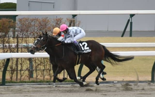 【アルデバランS結果】武豊騎手オーサムリザルトが無傷の5連勝！