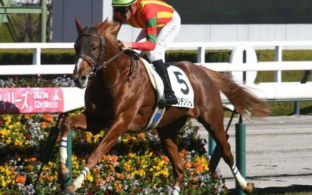 【きさらぎ賞予想】経験の浅さが位置取りに影響!? 相手強化でポジションを落とす可能性
