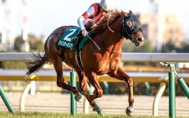 【AI予想・東京新聞杯】攻略ポイントは高速決着への対応と脚質にアリ!? 近走の敗因が明確で巻き返しに期待が高まる本命馬とは