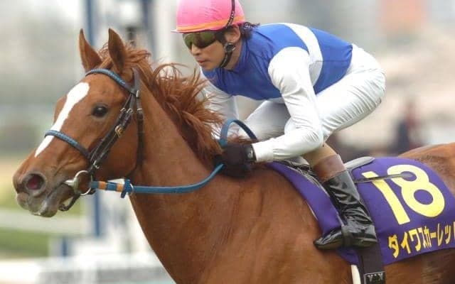 ダイワスカーレットの“最後の仔” 良血馬がそろった日曜京都5Rでデビュー