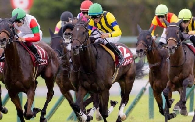 【今日の注目ポイント】好メンバー揃う東京新聞杯と登竜門・きさらぎ賞