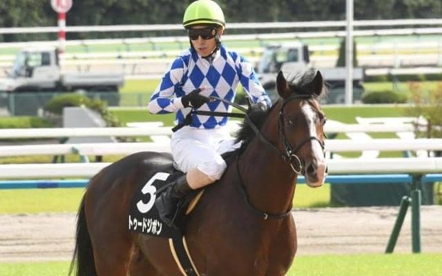 【東京新聞杯予想】過去の上位人気は厳しい成績 持続力優れたタフな馬に勝機か