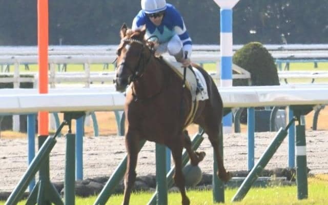 【きさらぎ賞予想】クラシック目指す若駒集結 瞬発力勝負の一戦を制するのは？