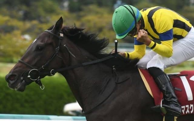 【東京新聞杯・馬体重】マスクトディーヴァは454kg(+10)、ウンブライルは486kg(+22)