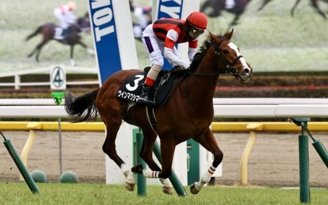 【ゆりかもめ賞】ウインマクシマムが鮮やかに逃げ切る