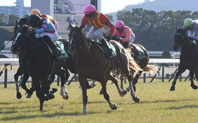 【きさらぎ賞結果】ビザンチンドリームが大接戦を制し無傷の2連勝！