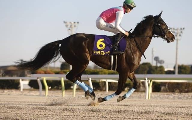 【フェブラリーS】ドゥラエレーデ、ウィルソンテソーロら27頭が登録