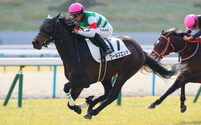 【新馬/京都5R】ワールズエンドがデビューV…キタサンブラック半弟は2着