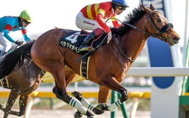 京都記念・共同通信杯・クイーンCの3重賞/今週の競馬界の見どころ