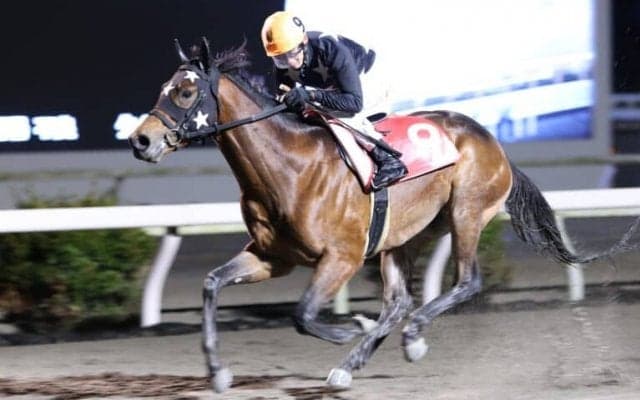 【高知・土佐水木特別】昨年最優秀2歳のプリフロオールインが今季初戦を快勝…宮川「大事に仕上げていきたい」