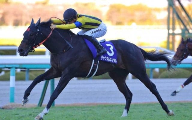 【共同通信杯登録馬】ジャンタルマンタル、エコロヴァルツなど11頭